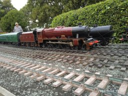 sgd-2023-08
